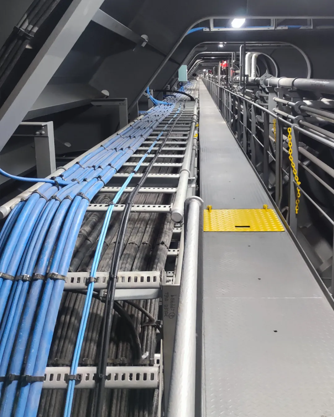 High-standard marine electrical cabling with professional labeling and cable management in a ship's control cabinet.